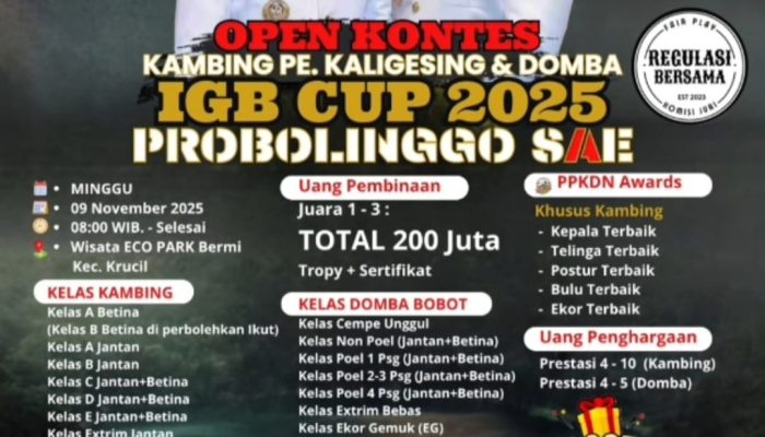 Gebyar IGB Cup 2025 Probolinggo SAE: Adu Gagah Kambing Kaligesing dan Domba Berbobot, Total Hadiah 200 Juta!